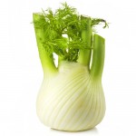 Organic Fennel