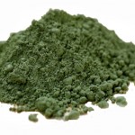 Spiruline bio