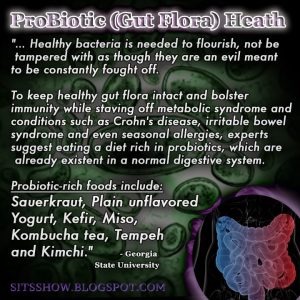 Healthy-Gut-Flora-MEME-complete-1