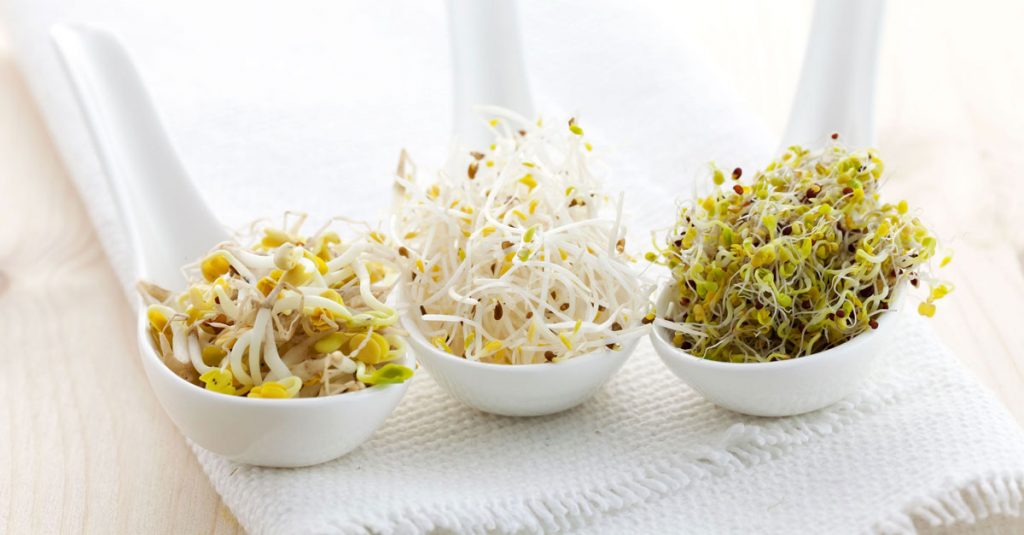 Why Sprout? Health Benefits of Eating Sprouts